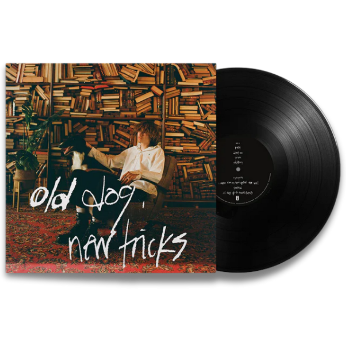 Glaive – Old Dog, New Tricks