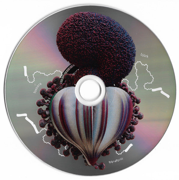 Bjork – Fossora