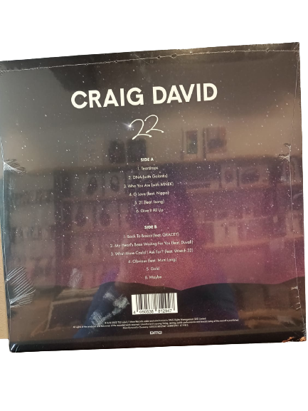 Craig David - 22