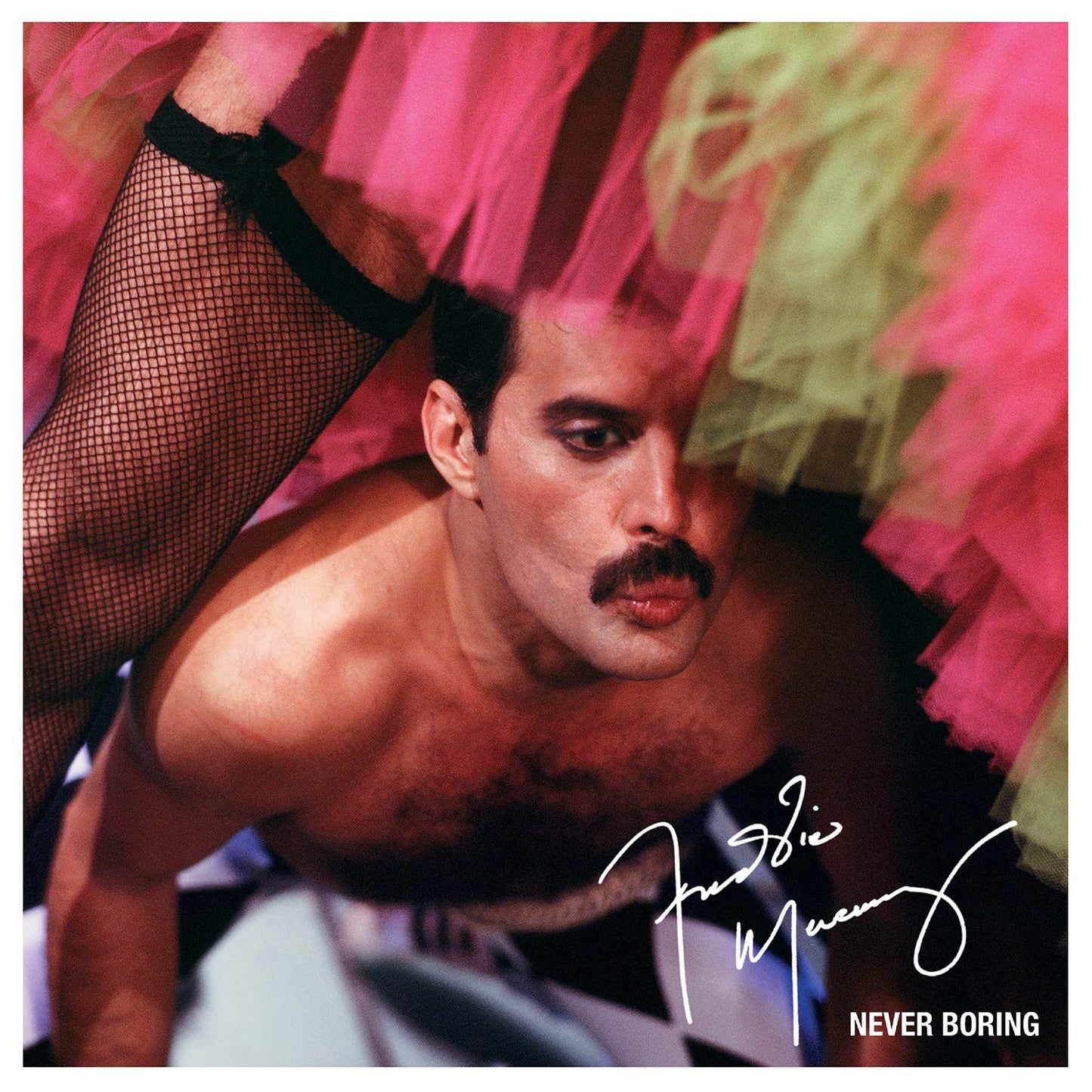 Freddie Mercury -Never Boring