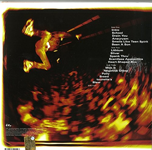 Nirvana -From The Muddy Banks Of The Wishkah