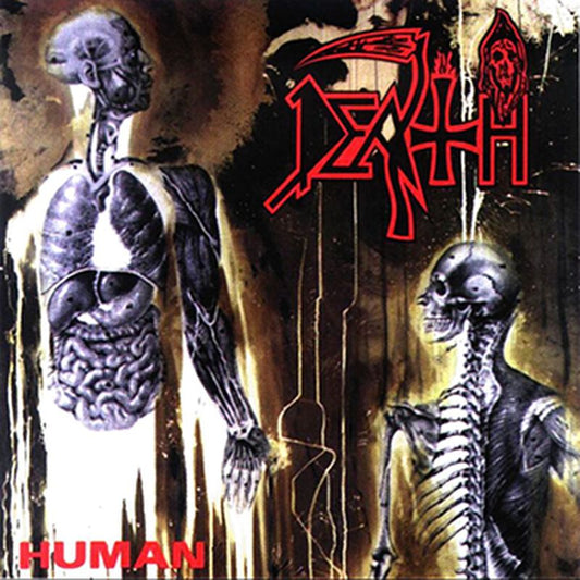 Death – Human