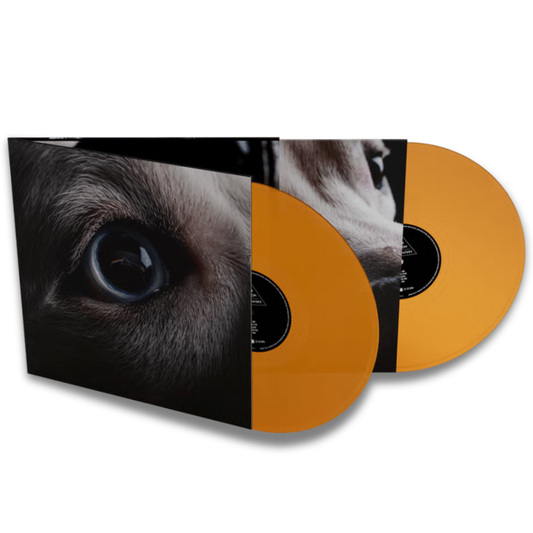 Roger Waters – The Dark Side Of The Moon Redux (2LP, Orange Vinyl)