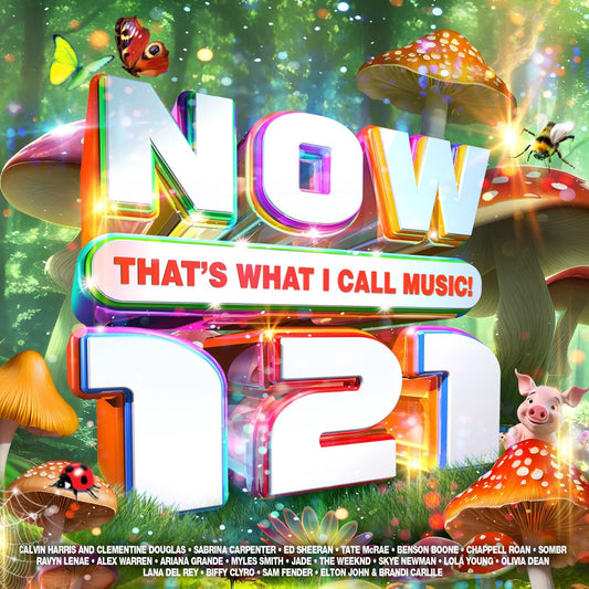 Now That's What I Call Music 121 (2CD)