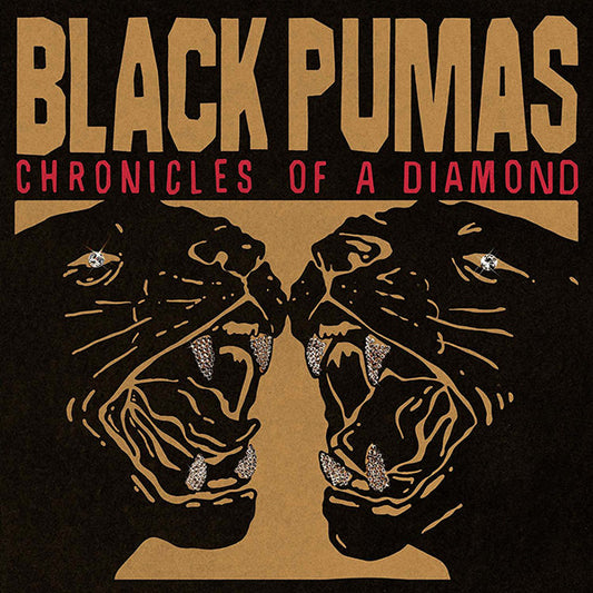 Black Pumas – Chronicles Of A Diamond (Clear Vinyl)