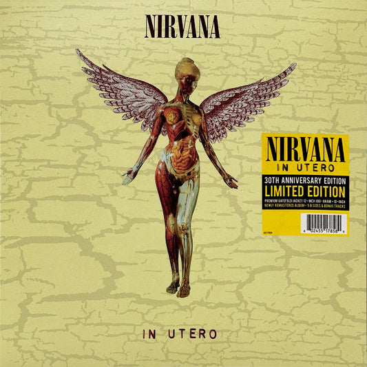 Nirvana – In Utero (30th Anniversary)