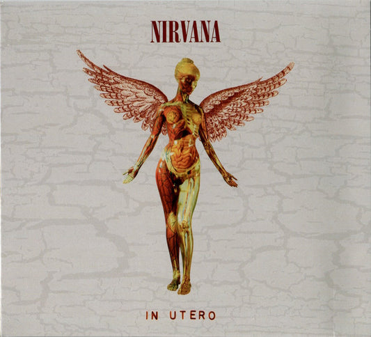 Nirvana – In Utero (30Th Anniversary)(2CD)