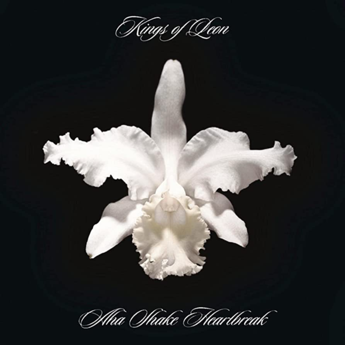 Kings Of Leon – Aha Shake Heartbreak (2LP)