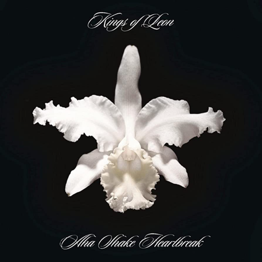Kings Of Leon – Aha Shake Heartbreak (2LP)
