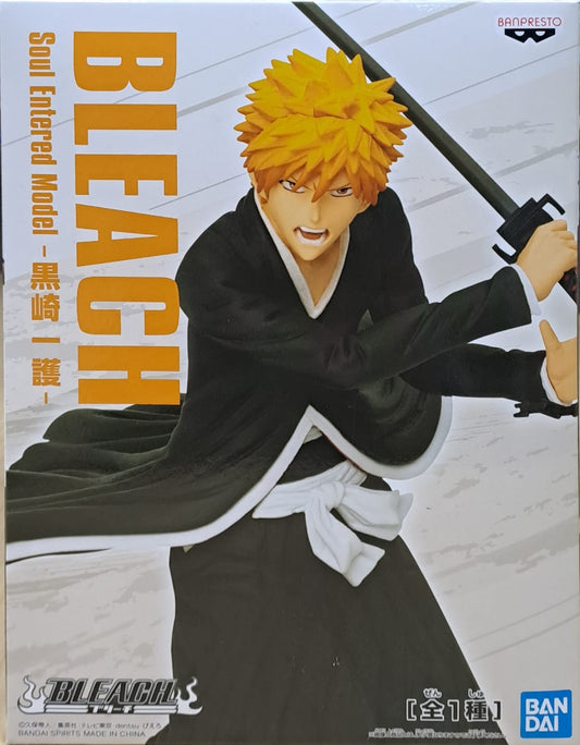 Kurosaki Ichigo Soul Entered Model