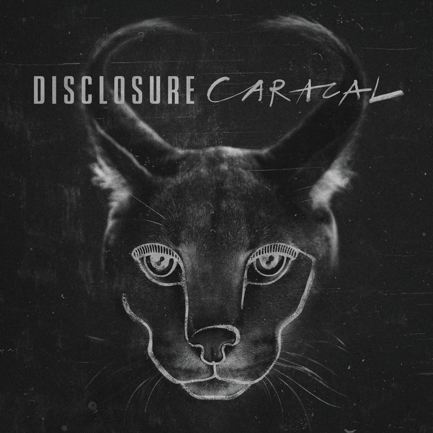 Disclosure Caracal