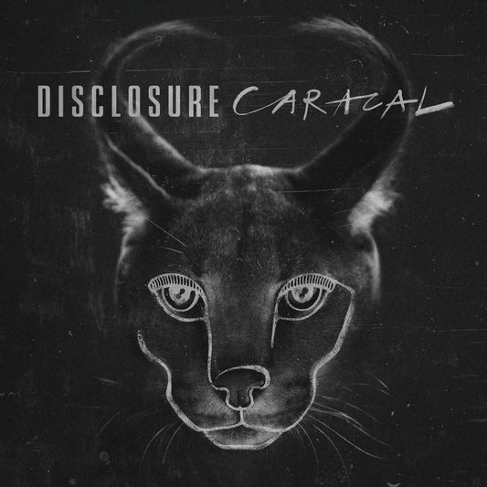 Disclosure Caracal