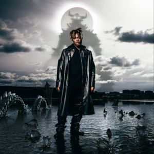 Juice WRLD - Fighting Demons (2LP)
