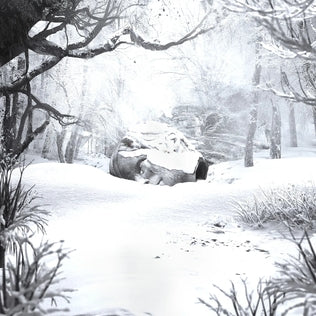 Weezer - SZNZ "Winter"
