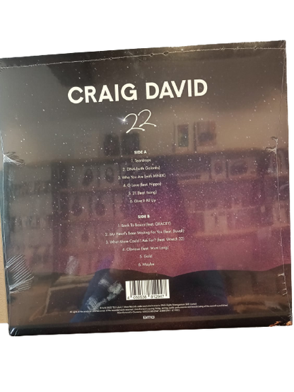 Craig David - 22