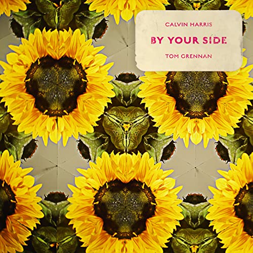 Calvin Harris & Tom Grennan -By Your Side (Picture Vinyl)