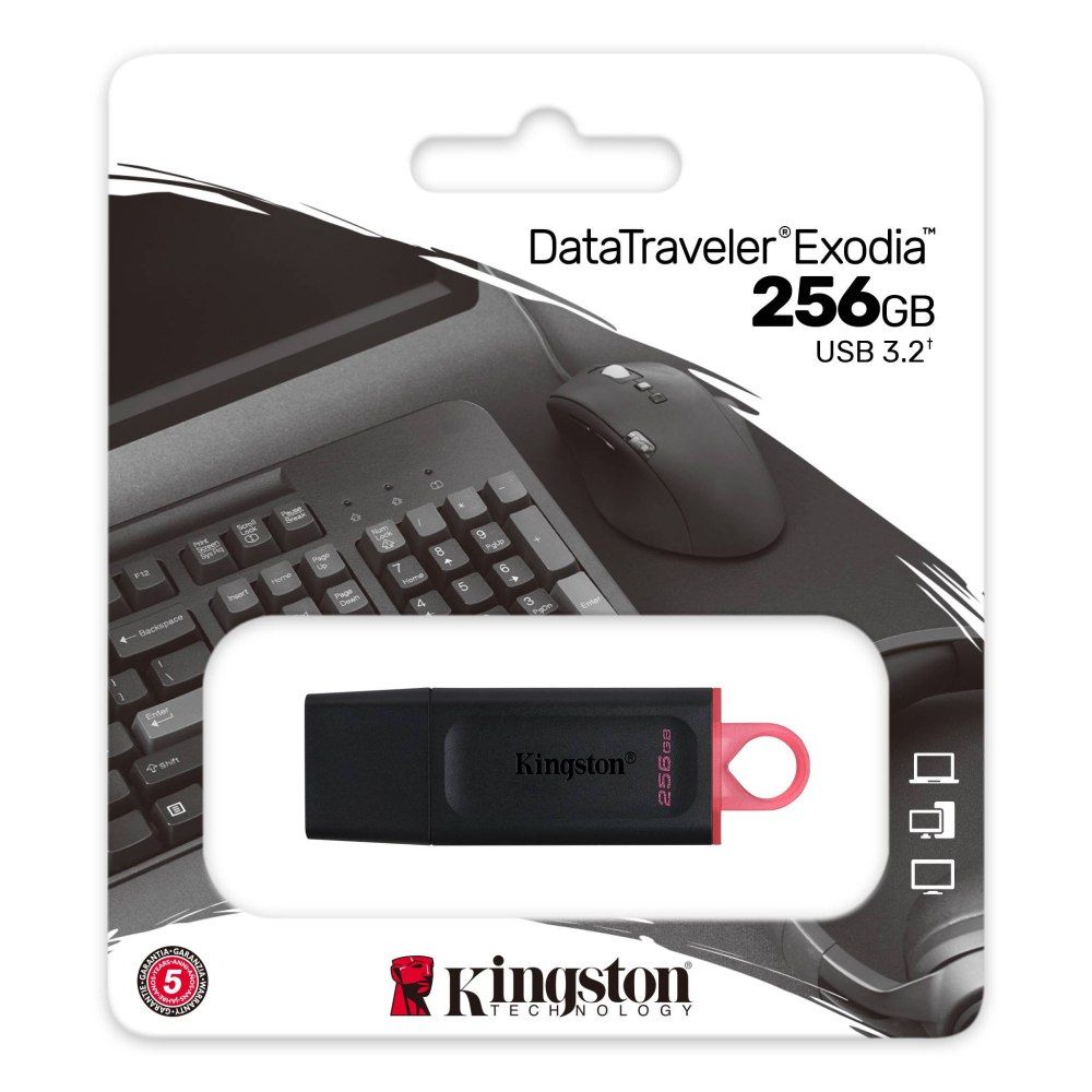 KINGSTON 256GB DTX/256GB EXODIA FLASH DRIVE