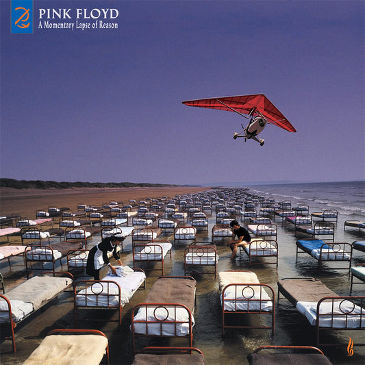 Pink Floyd -A Momentary Lapse Of Reason Remixed & Updated