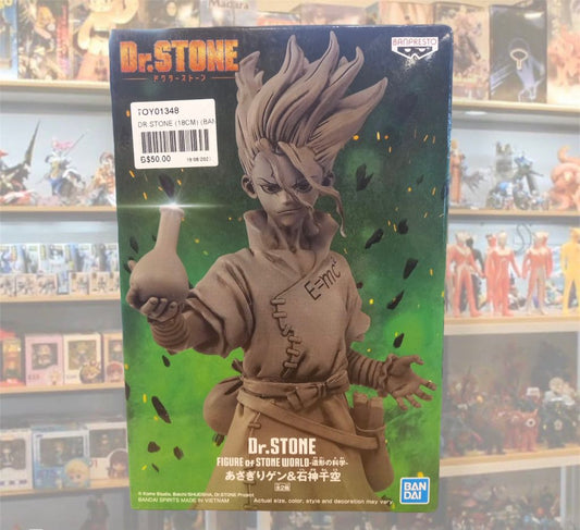 Dr Stone (18CM)